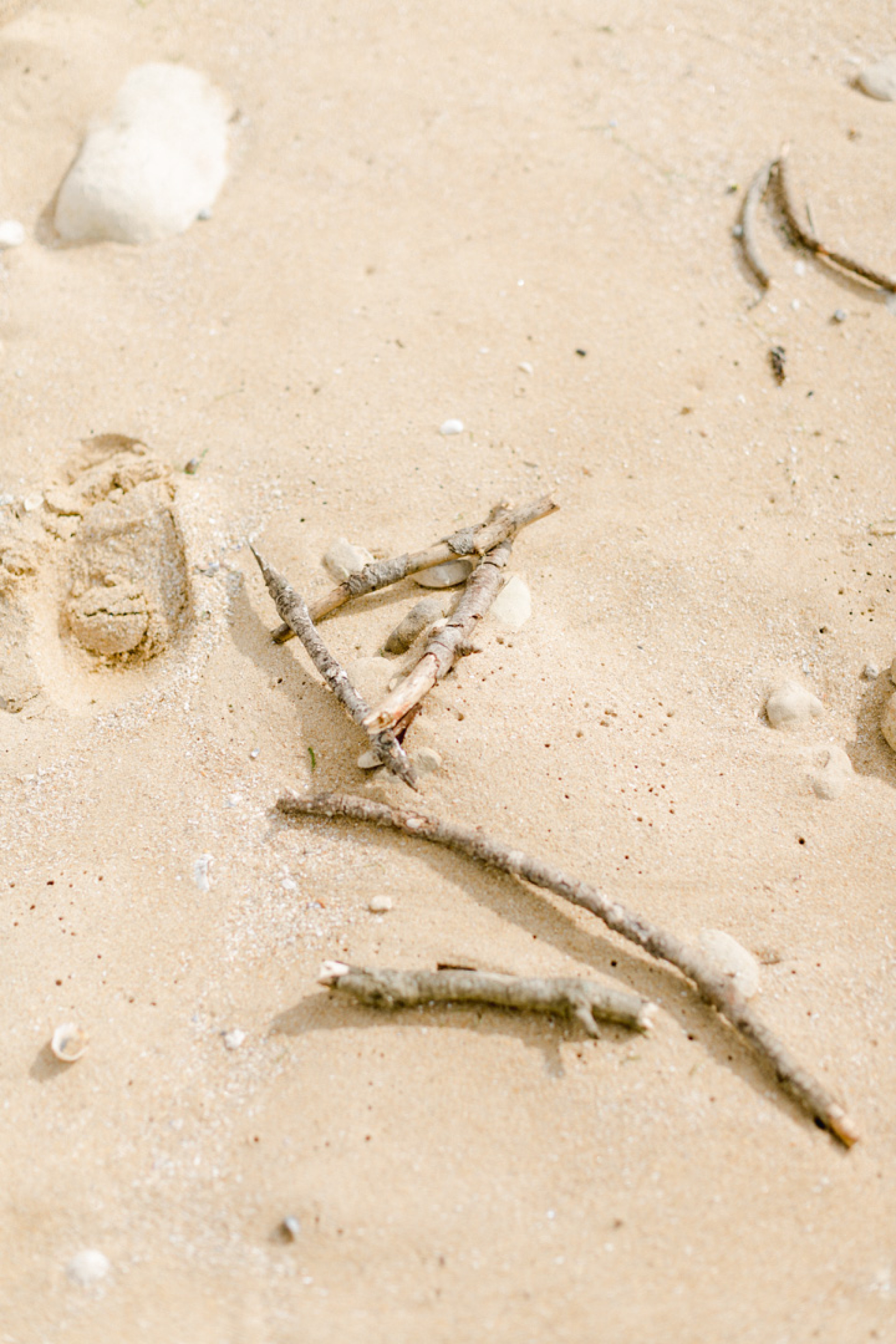 Stéphanie, Stéphane & Evan